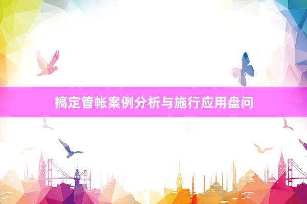 搞定管帐案例分析与施行应用盘问