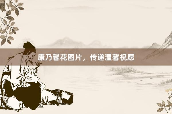 康乃馨花图片，传递温馨祝愿