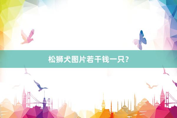 松狮犬图片若干钱一只？