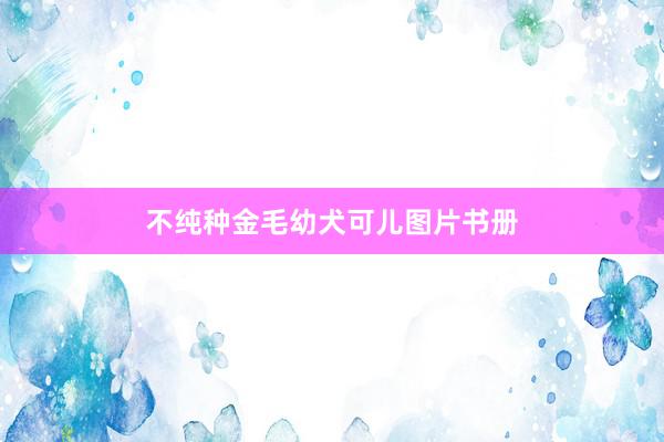 不纯种金毛幼犬可儿图片书册