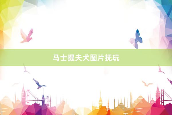 马士提夫犬图片抚玩