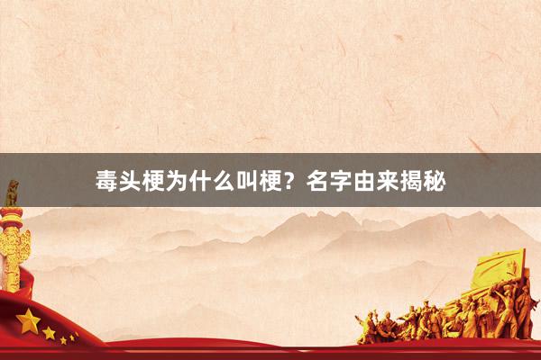 毒头梗为什么叫梗？名字由来揭秘